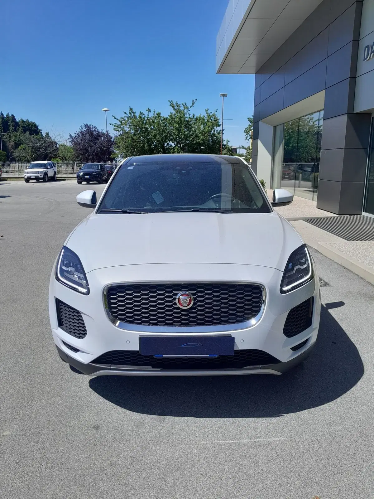 Jaguar E-Pace usata a Cuneo (2)