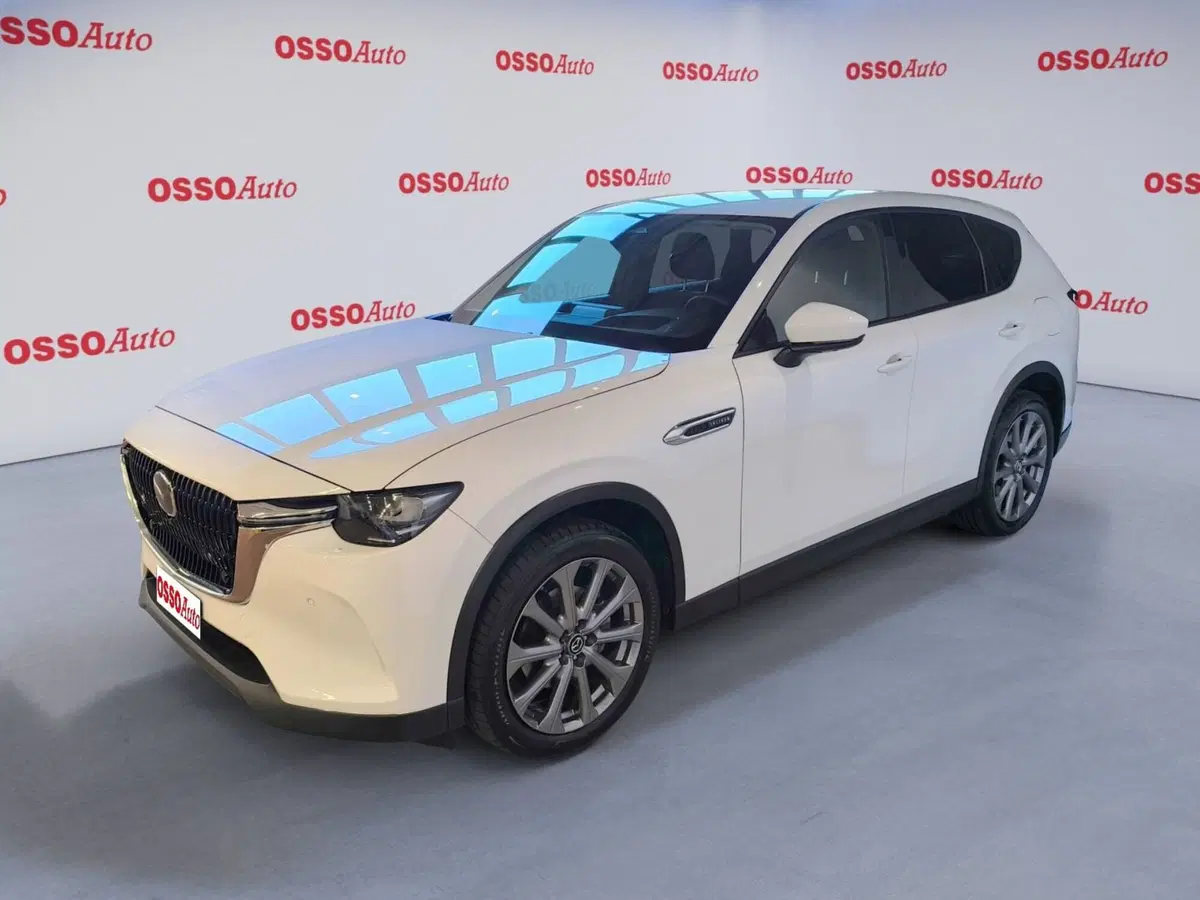 Mazda CX-60 usata a Udine