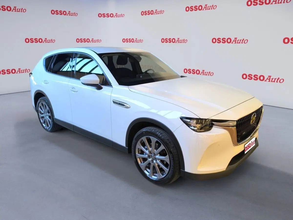 Mazda CX-60 usata a Udine (2)