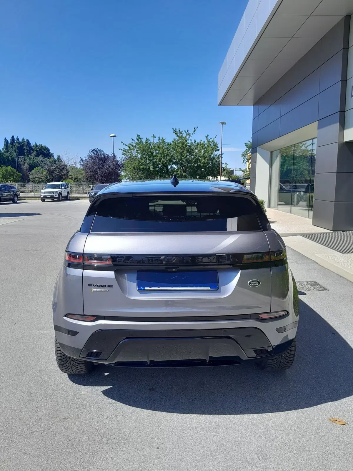 Land Rover Range Rover Evoque usata a Cuneo (7)
