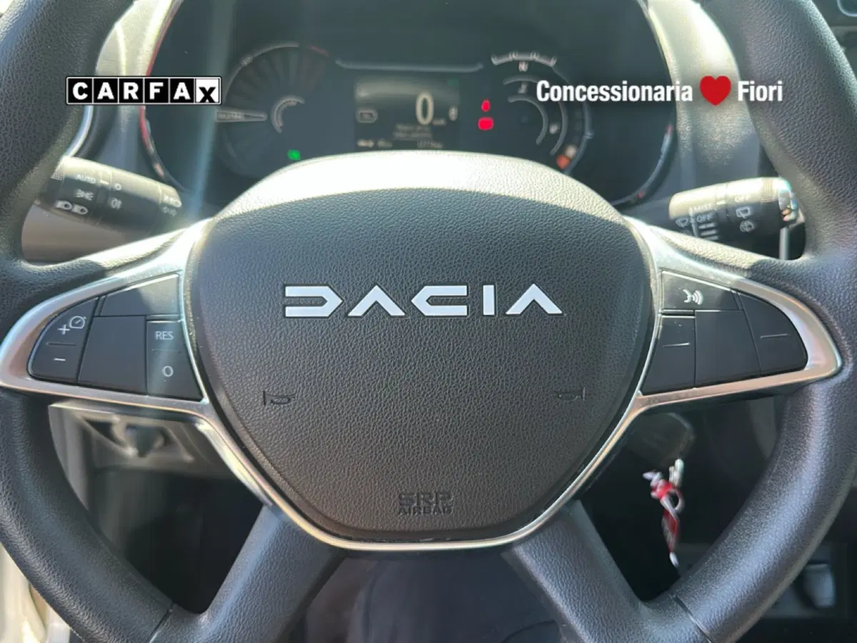 Dacia Spring usata a Latina (14)