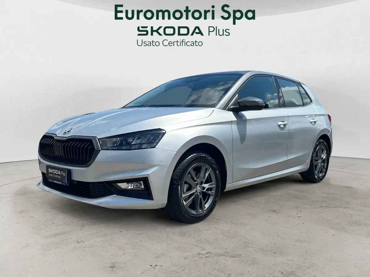 Skoda Fabia usata a Grosseto