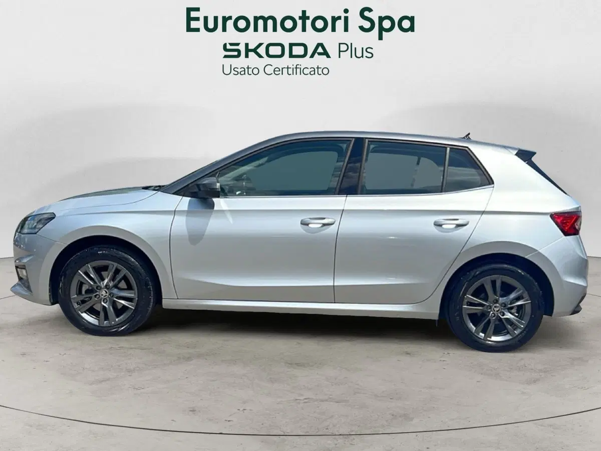 Skoda Fabia usata a Grosseto (2)
