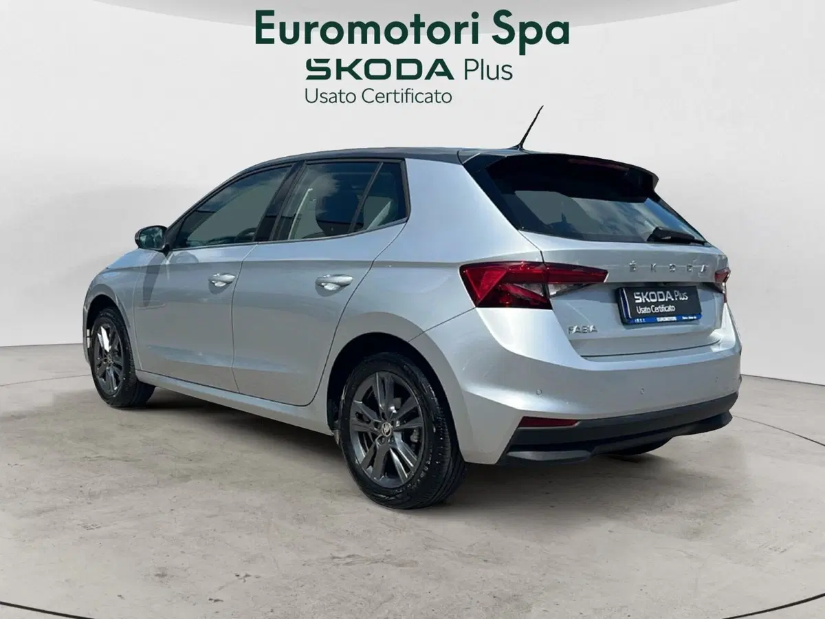 Skoda Fabia usata a Grosseto (3)