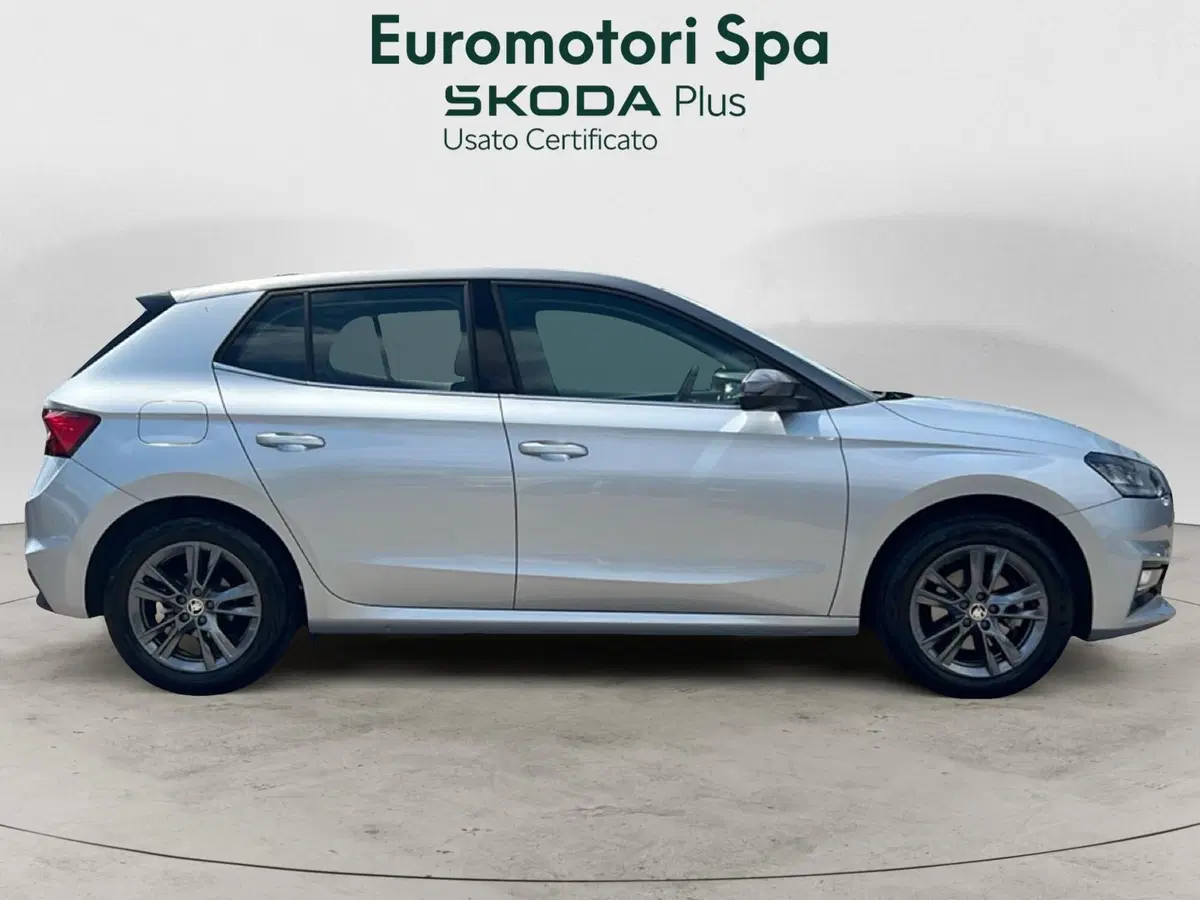 Skoda Fabia usata a Grosseto (6)