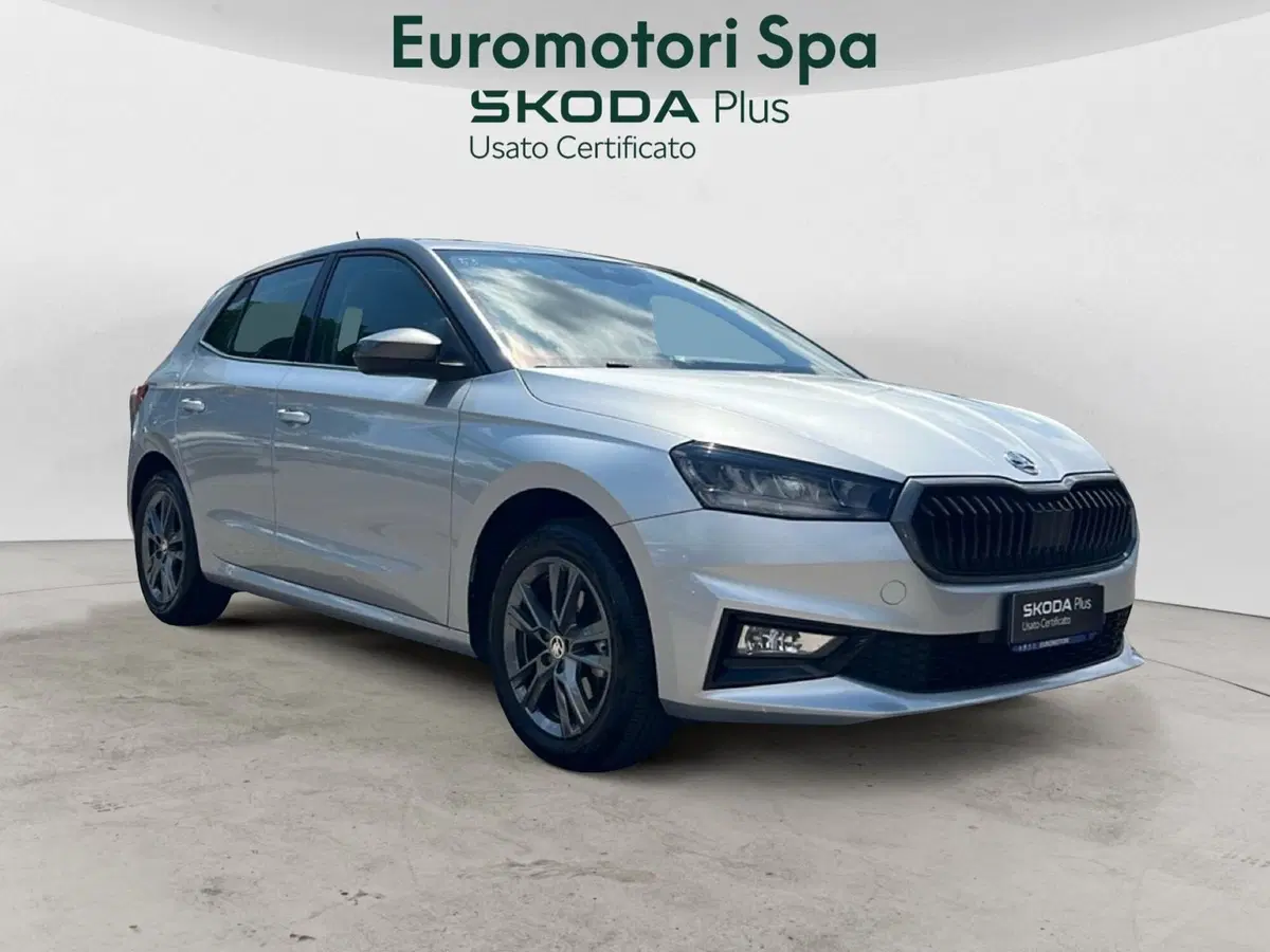 Skoda Fabia usata a Grosseto (7)