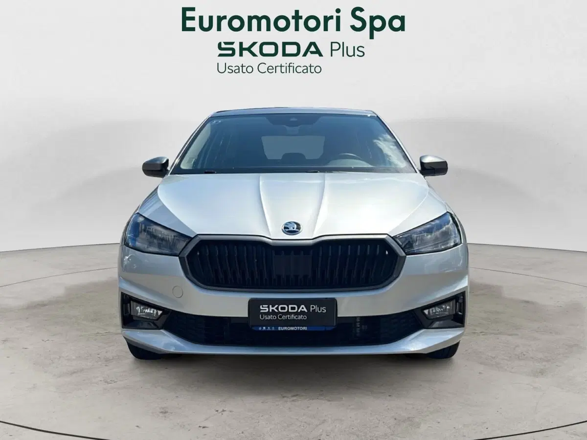 Skoda Fabia usata a Grosseto (8)