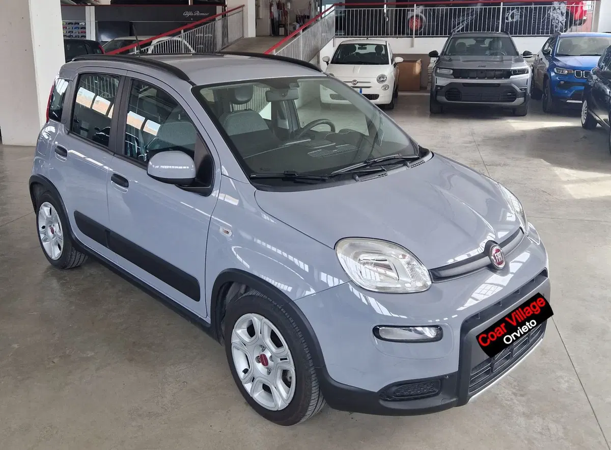 Fiat Panda usata a Terni