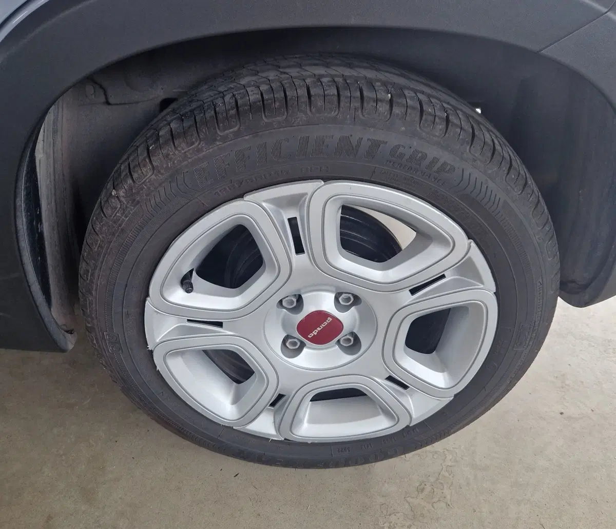 Fiat Panda usata a Terni (15)
