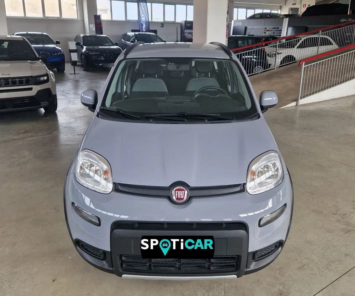 Fiat Panda usata a Terni (2)