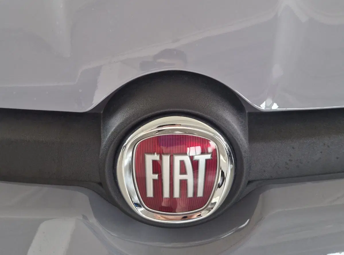 Fiat Panda usata a Terni (20)