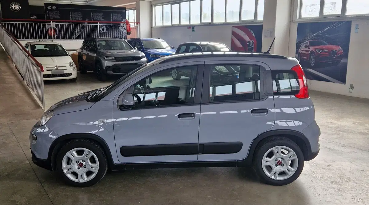 Fiat Panda usata a Terni (3)