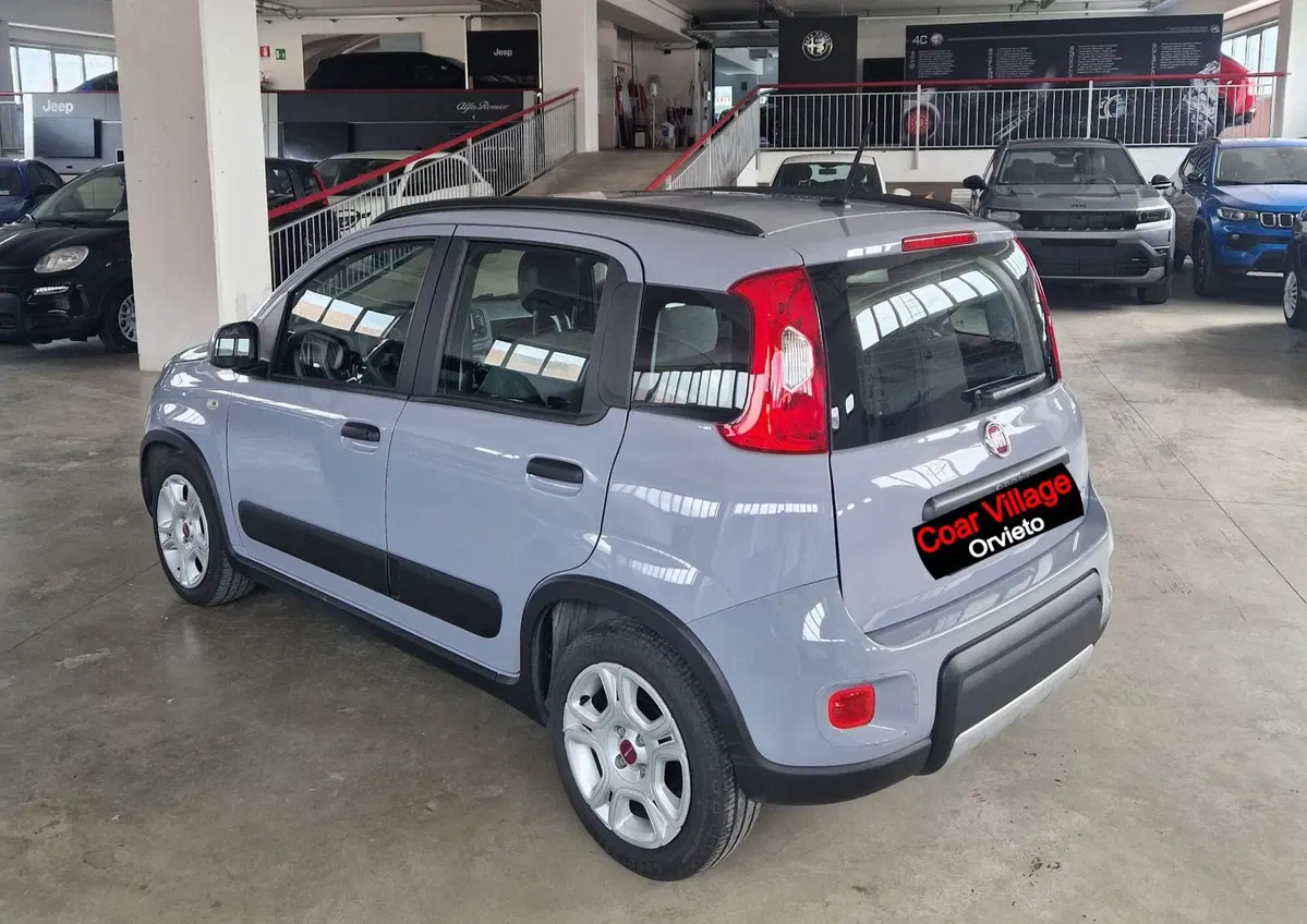 Fiat Panda usata a Terni (4)
