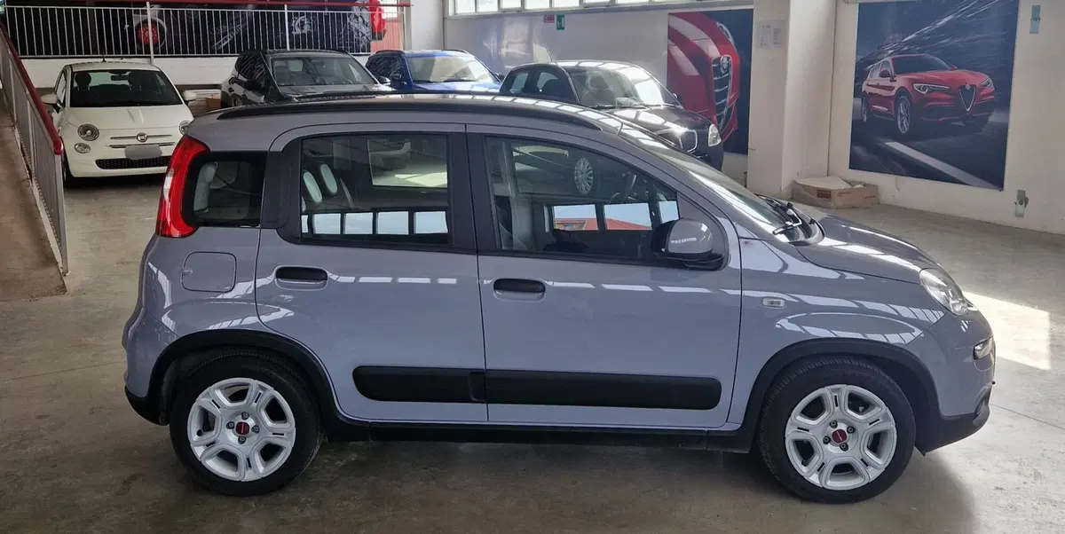 Fiat Panda usata a Terni (6)