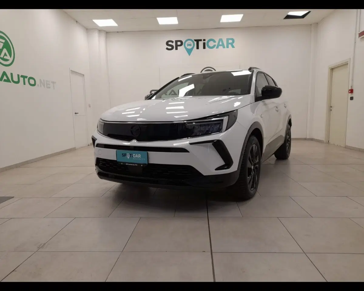 Opel Grandland usata a Alessandria (2)