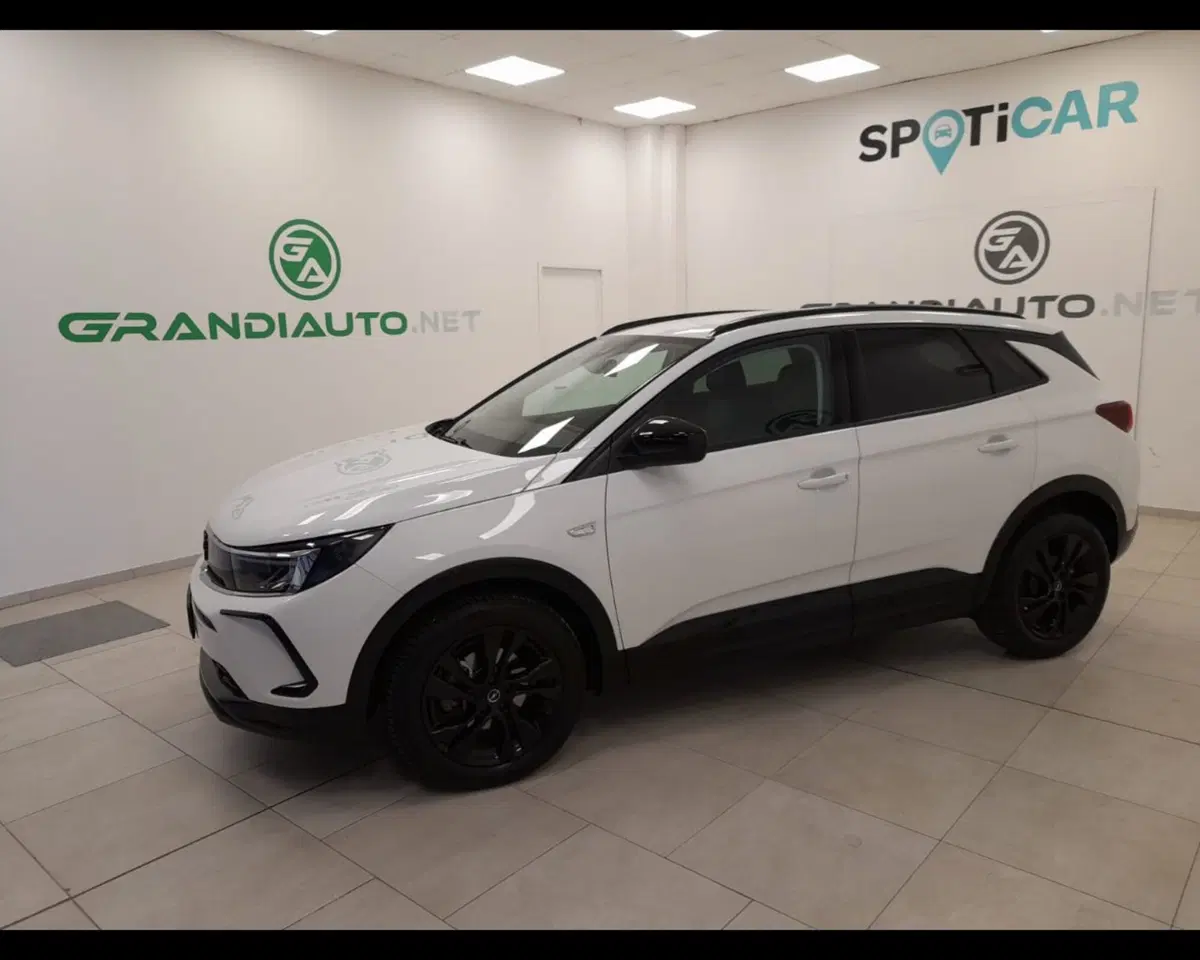 Opel Grandland usata a Alessandria (3)