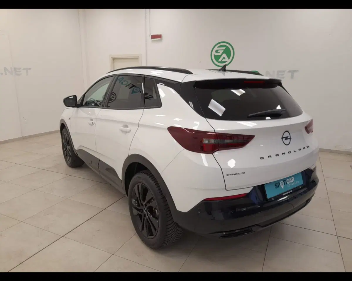 Opel Grandland usata a Alessandria (4)