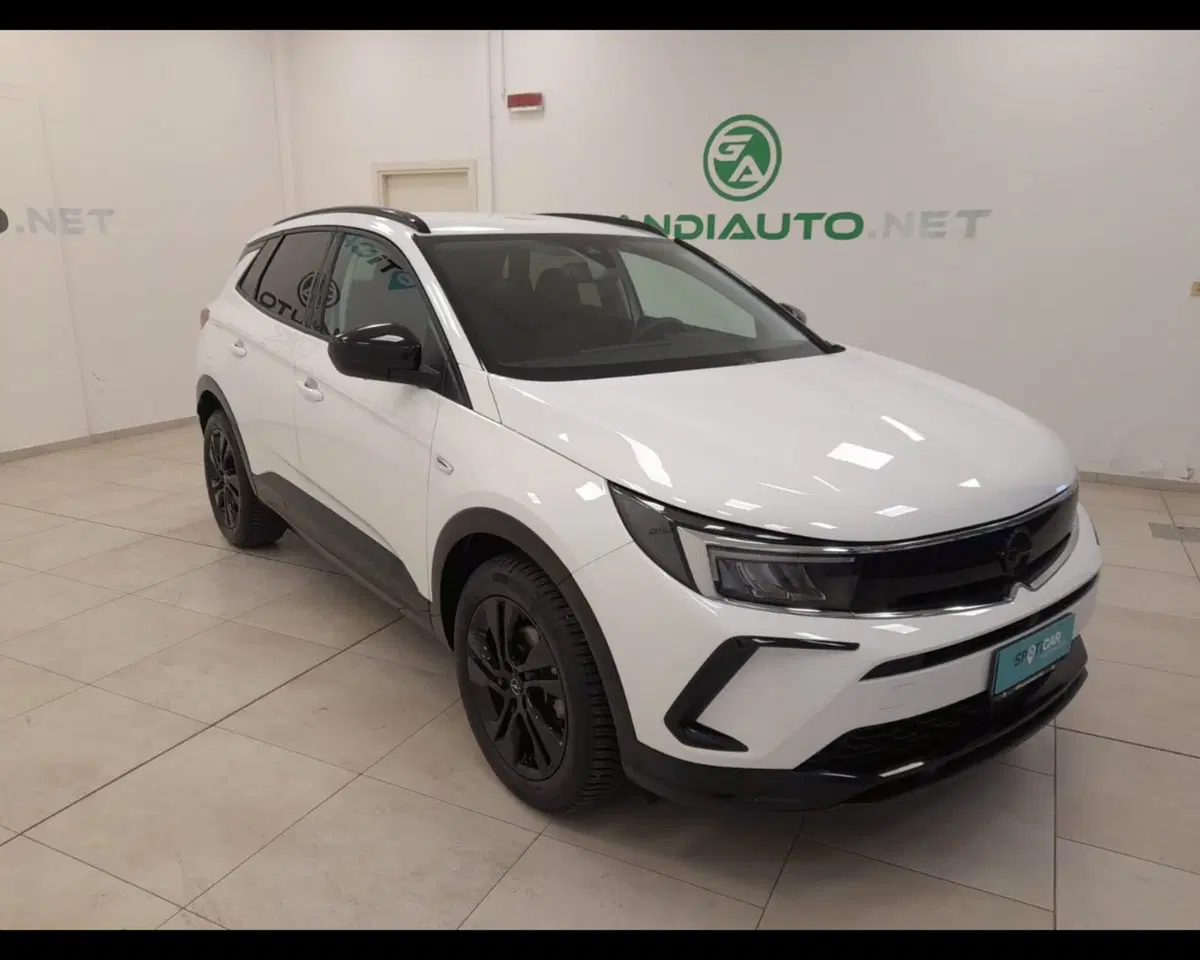 Opel Grandland usata a Alessandria (7)