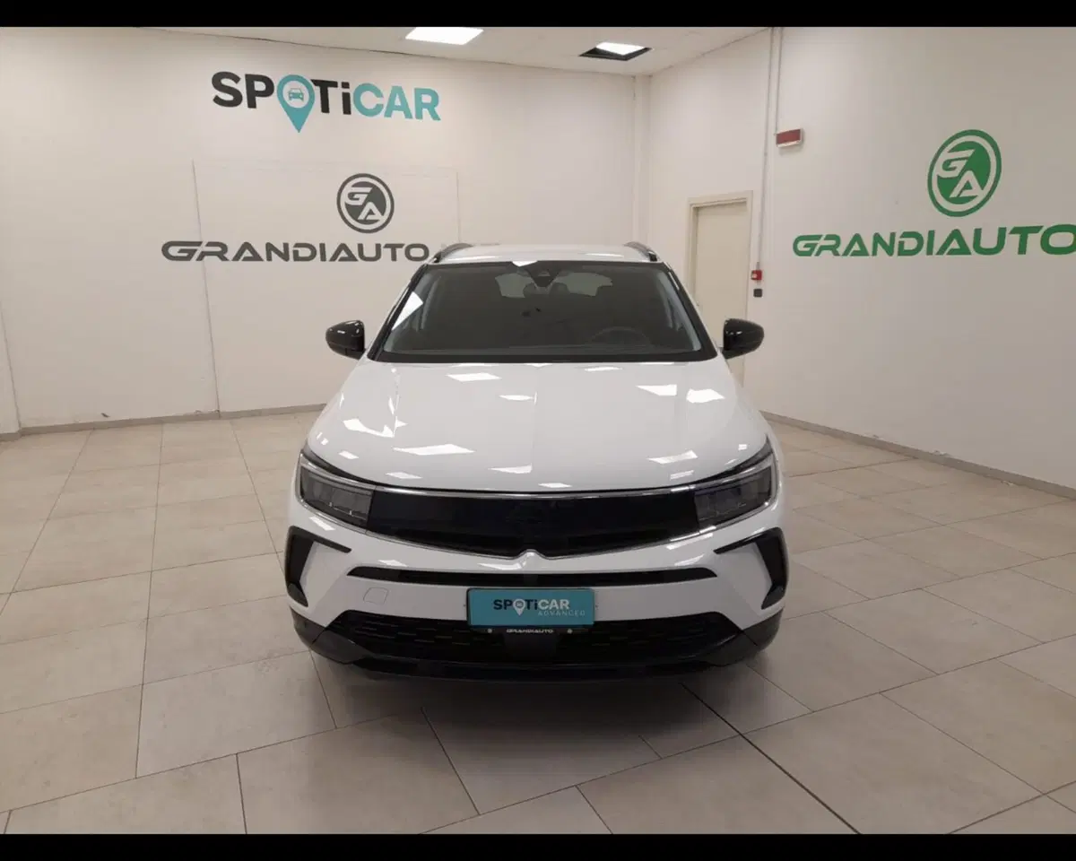 Opel Grandland usata a Alessandria (8)