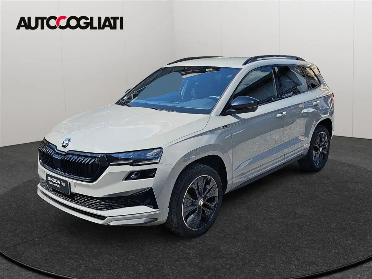 Skoda Karoq usata a Lecco