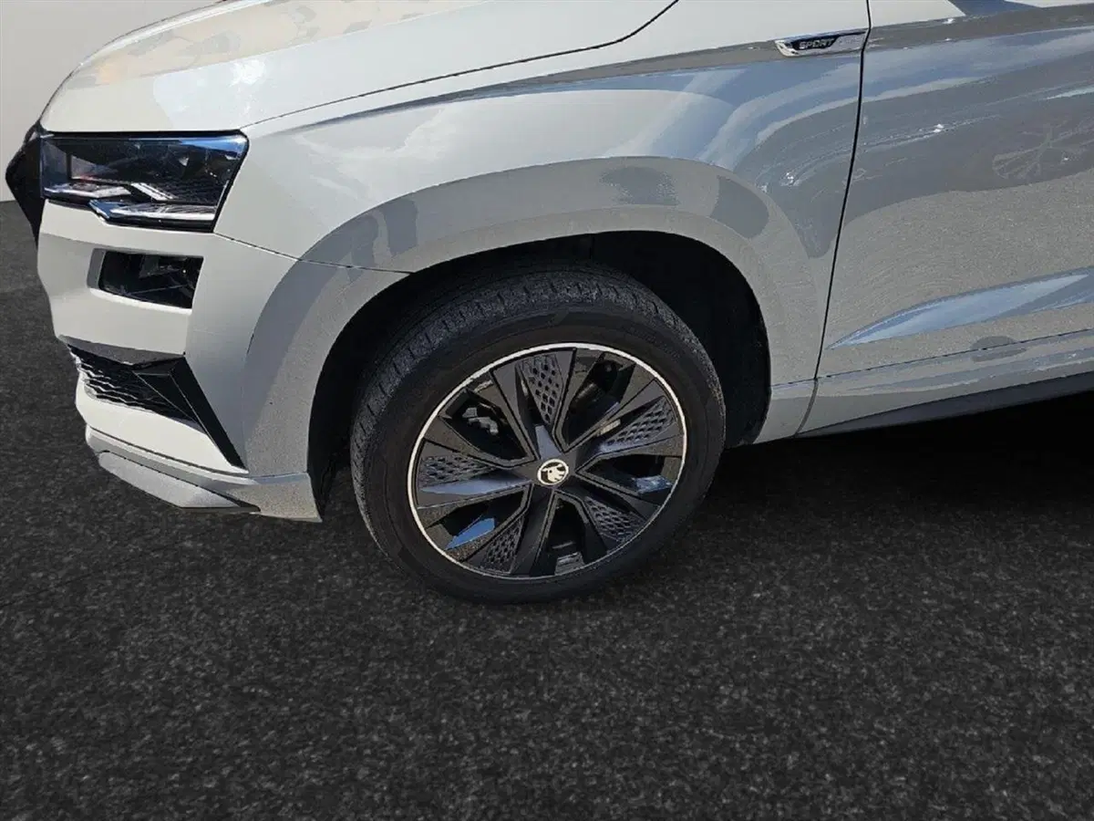 Skoda Karoq usata a Lecco (18)