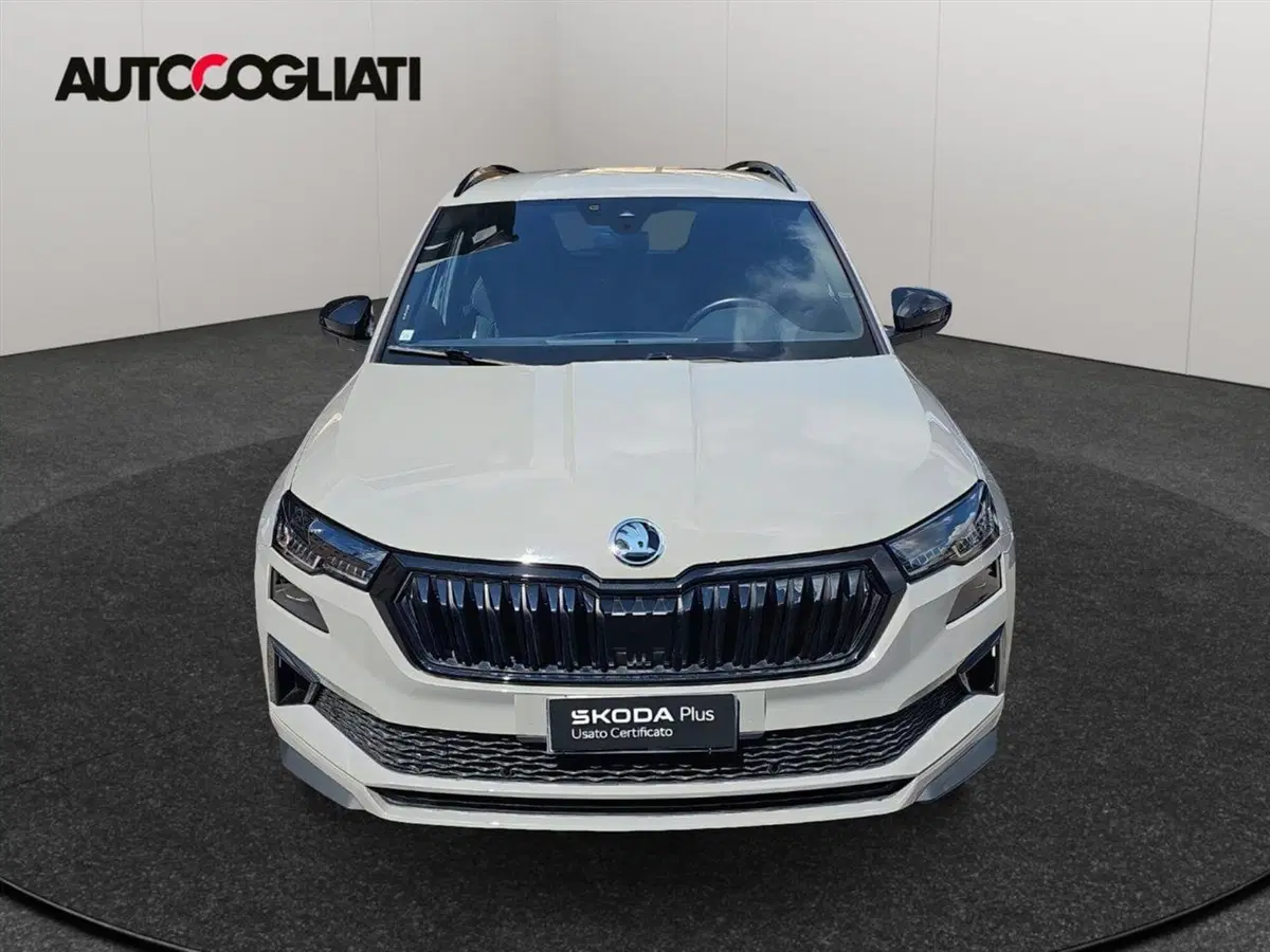 Skoda Karoq usata a Lecco (2)
