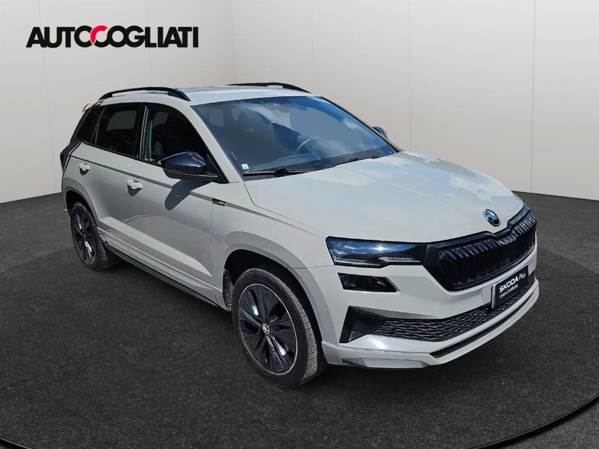 Skoda Karoq usata a Lecco (3)
