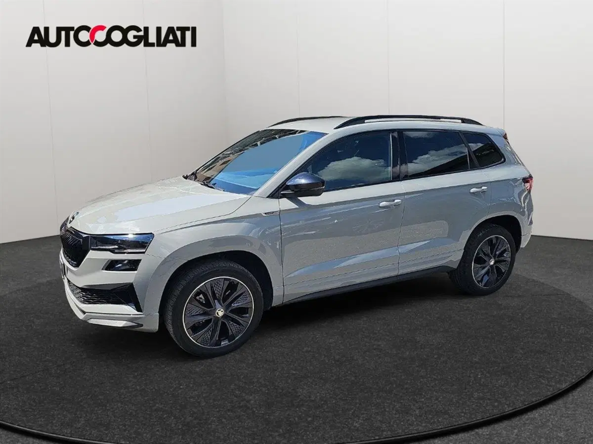 Skoda Karoq usata a Lecco (4)