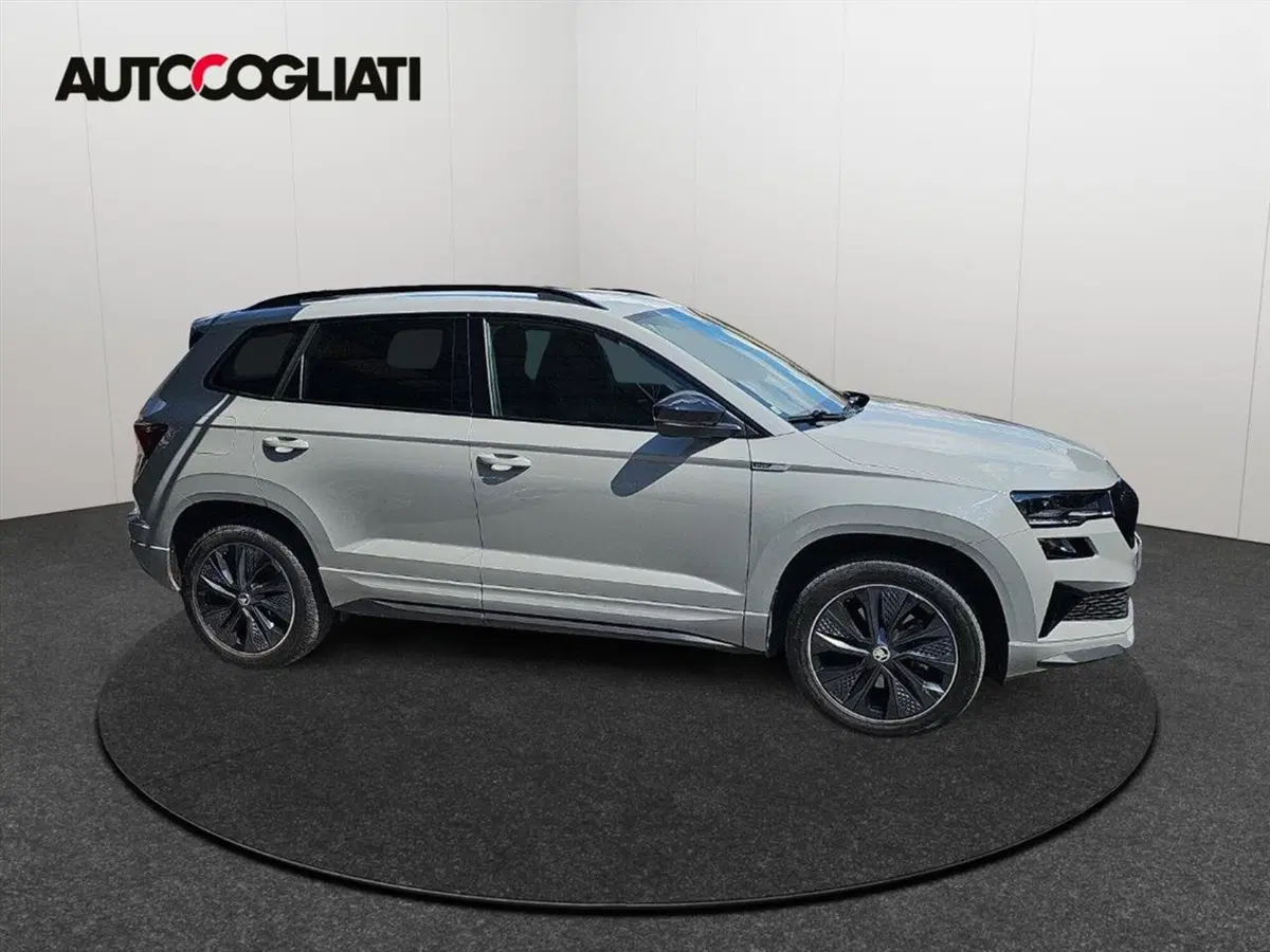 Skoda Karoq usata a Lecco (5)