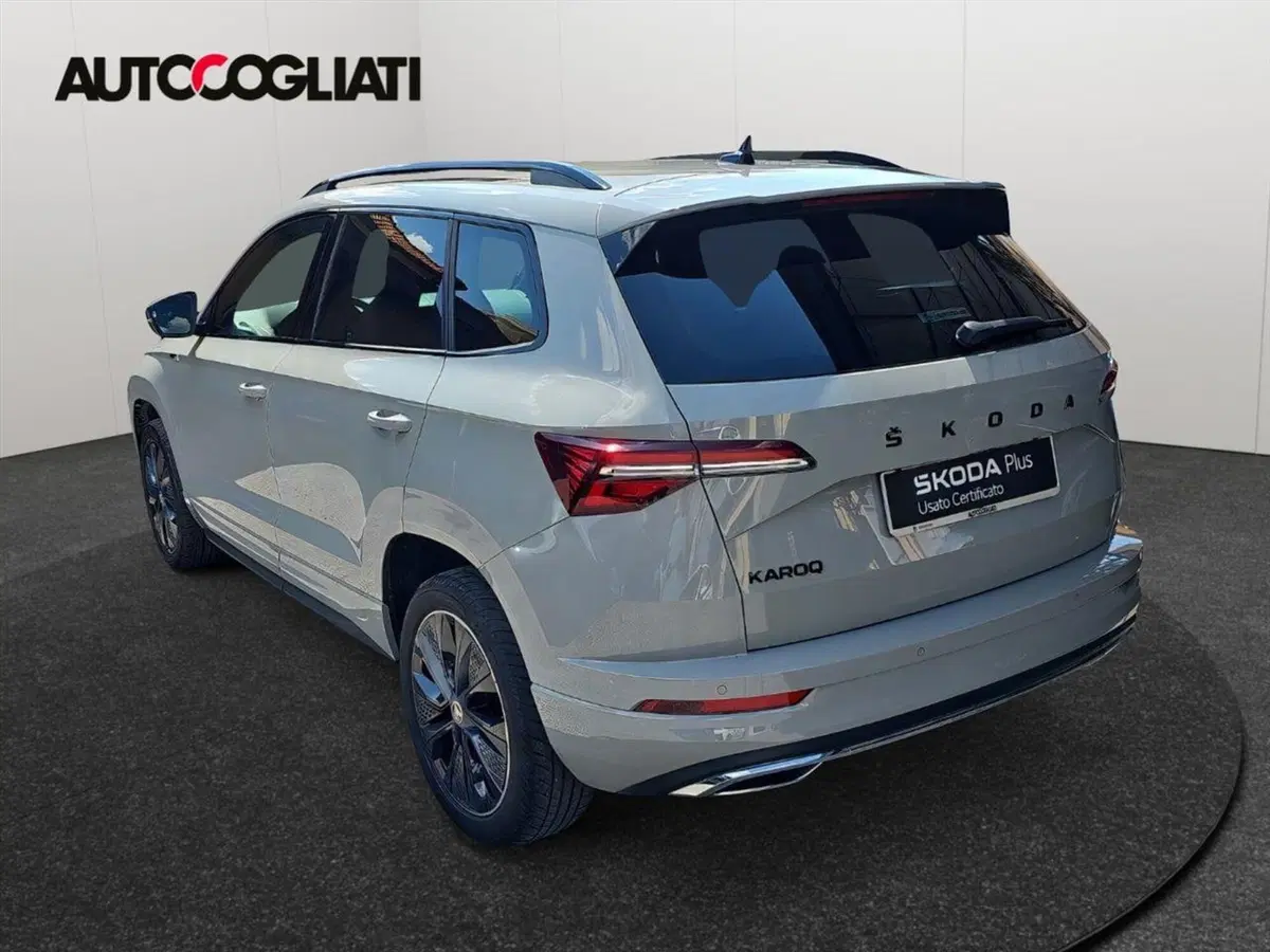 Skoda Karoq usata a Lecco (7)