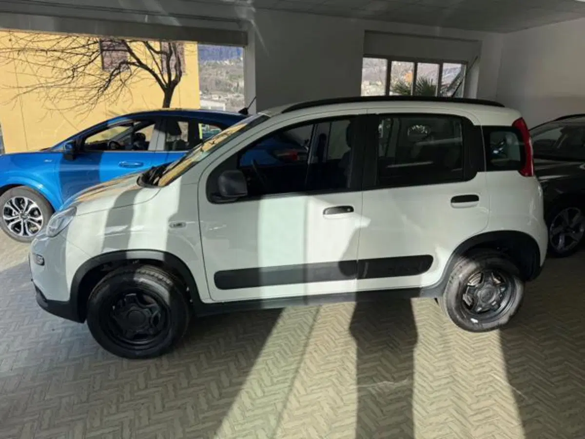 Fiat Panda usata a Verbano Cusio Ossola (5)