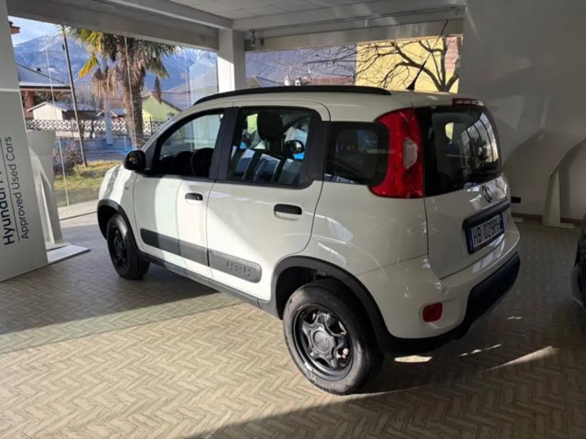Fiat Panda usata a Verbano Cusio Ossola (6)