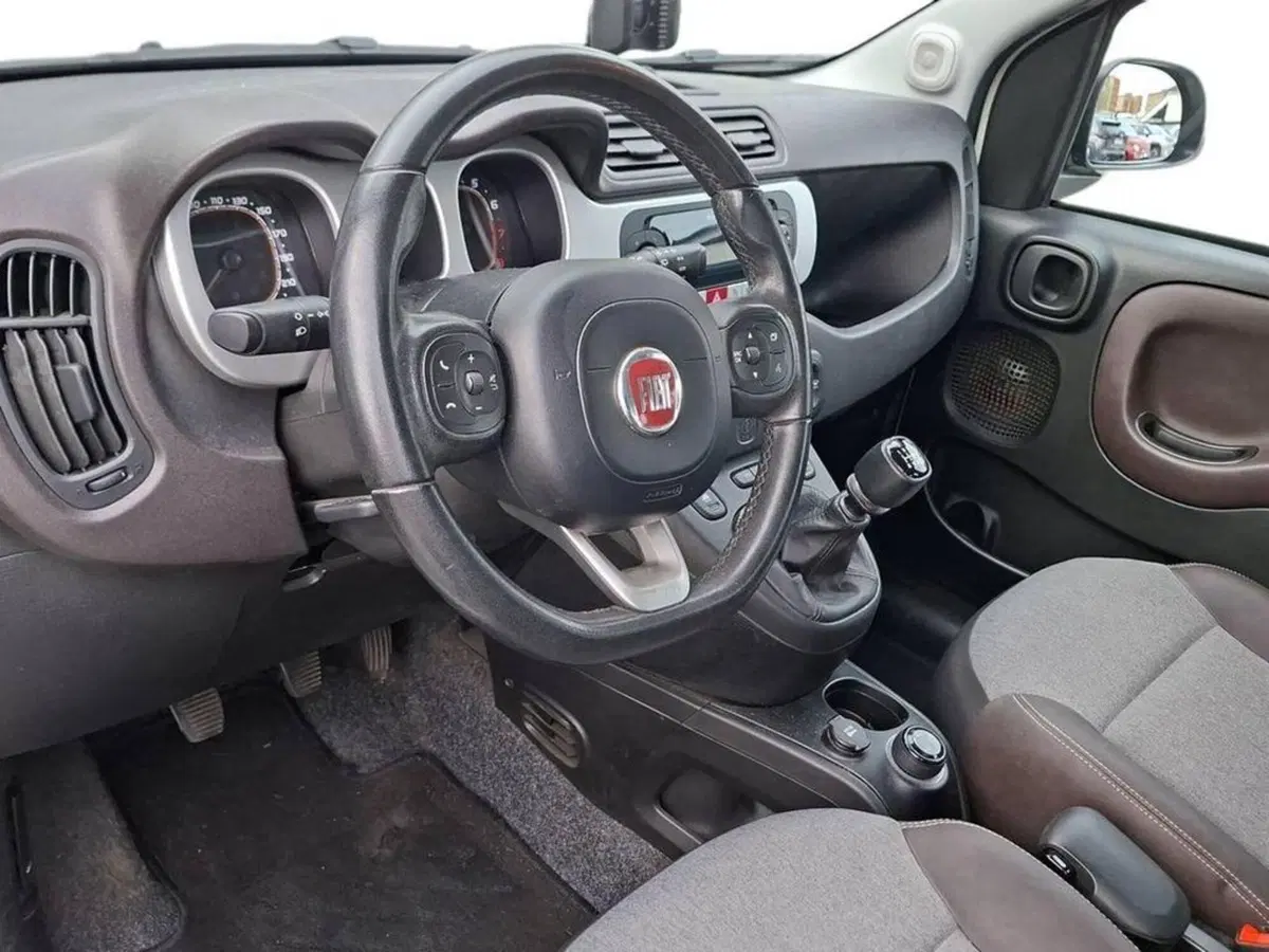 Fiat Panda Cross usata a Torino (11)