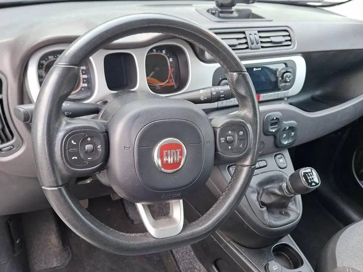 Fiat Panda Cross usata a Torino (12)