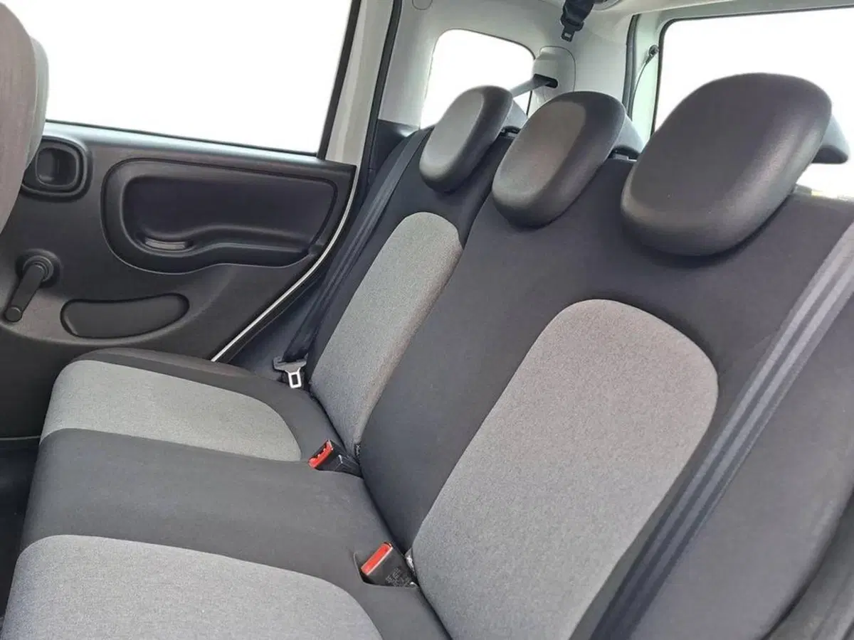 Fiat Panda Cross usata a Torino (13)
