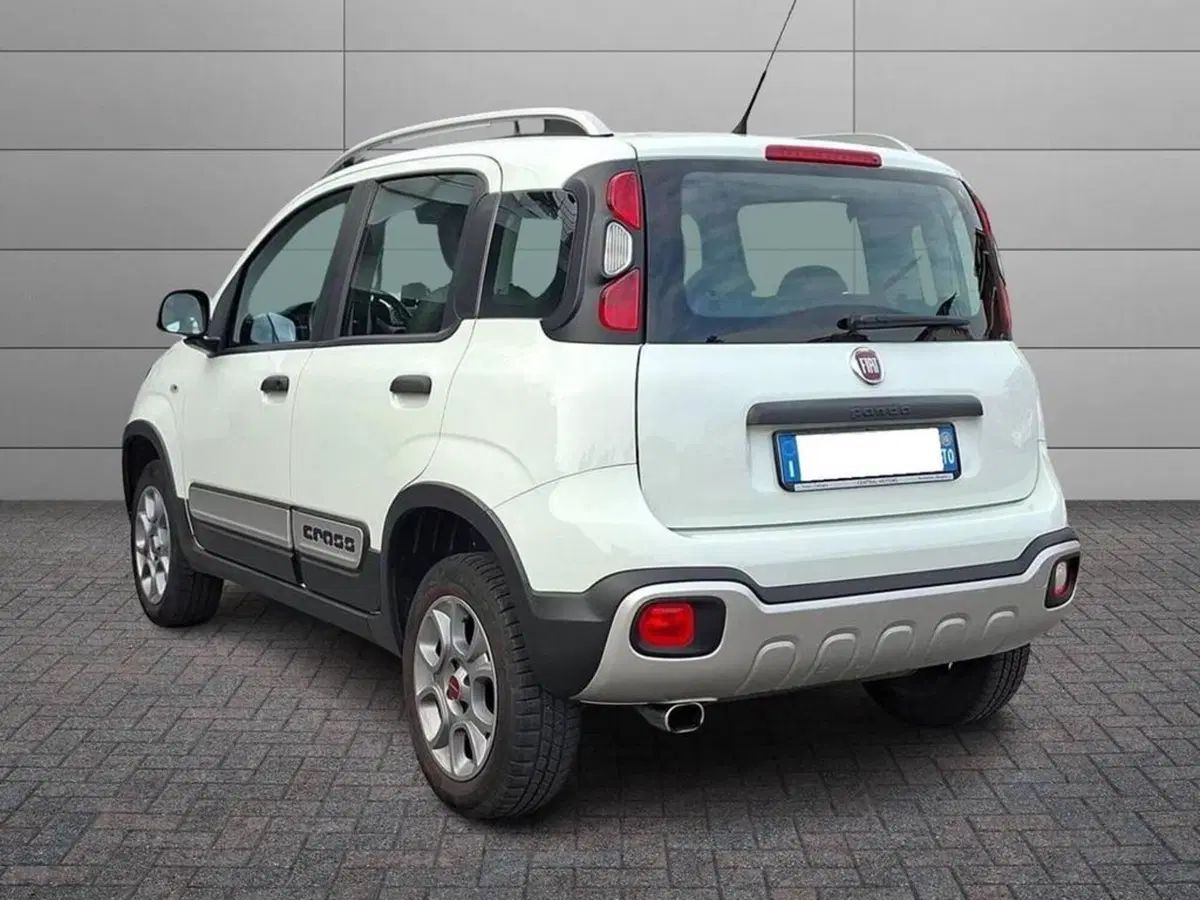 Fiat Panda Cross usata a Torino (2)