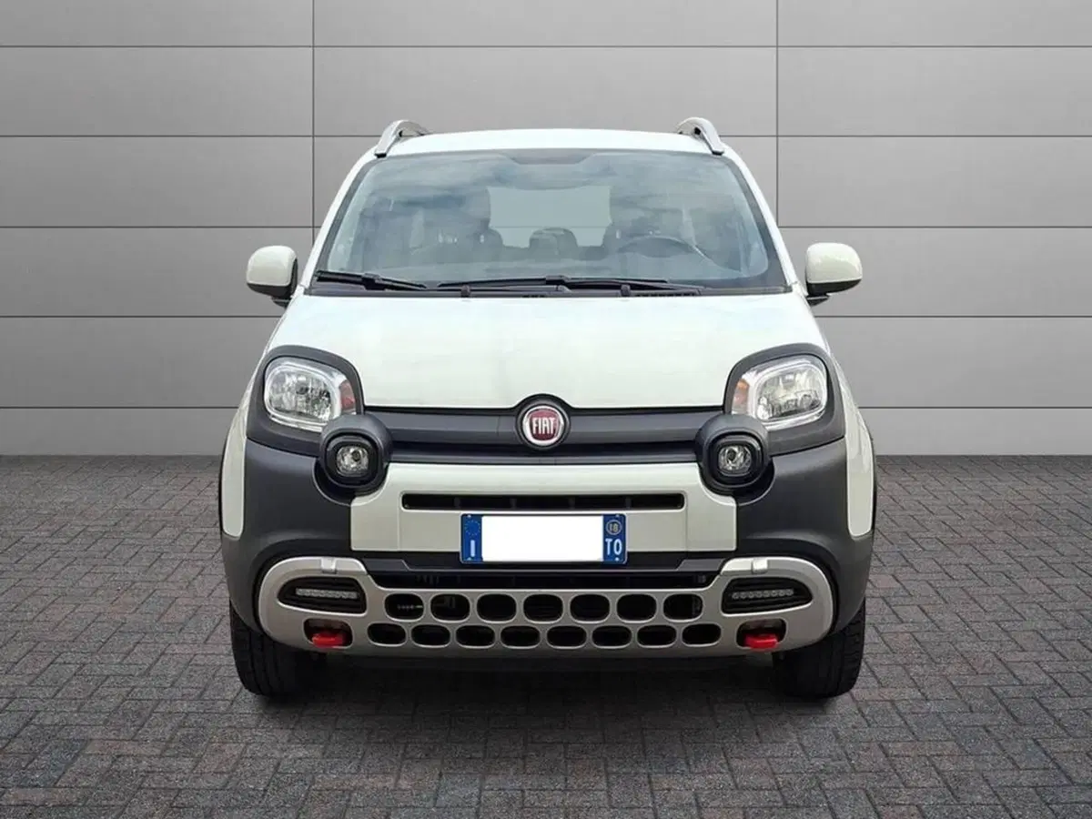 Fiat Panda Cross usata a Torino (3)