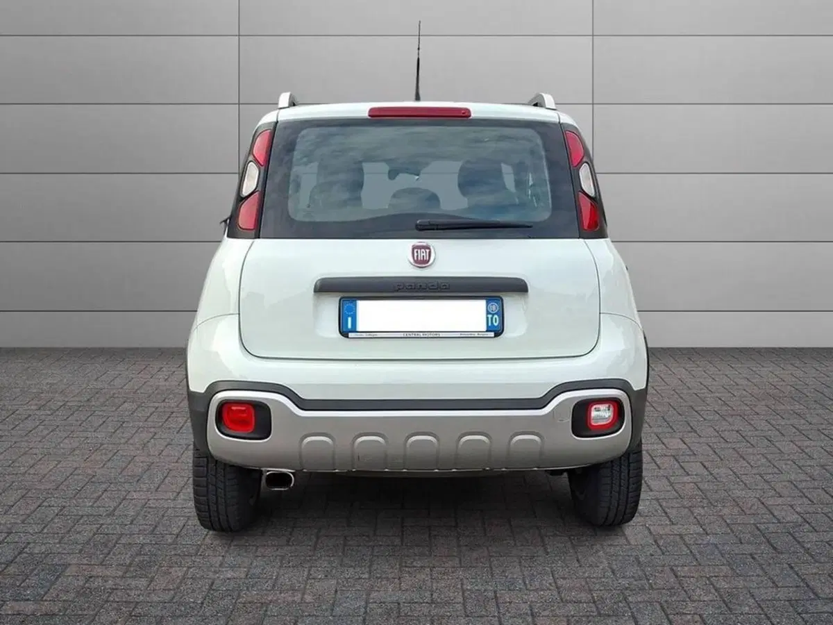 Fiat Panda Cross usata a Torino (4)