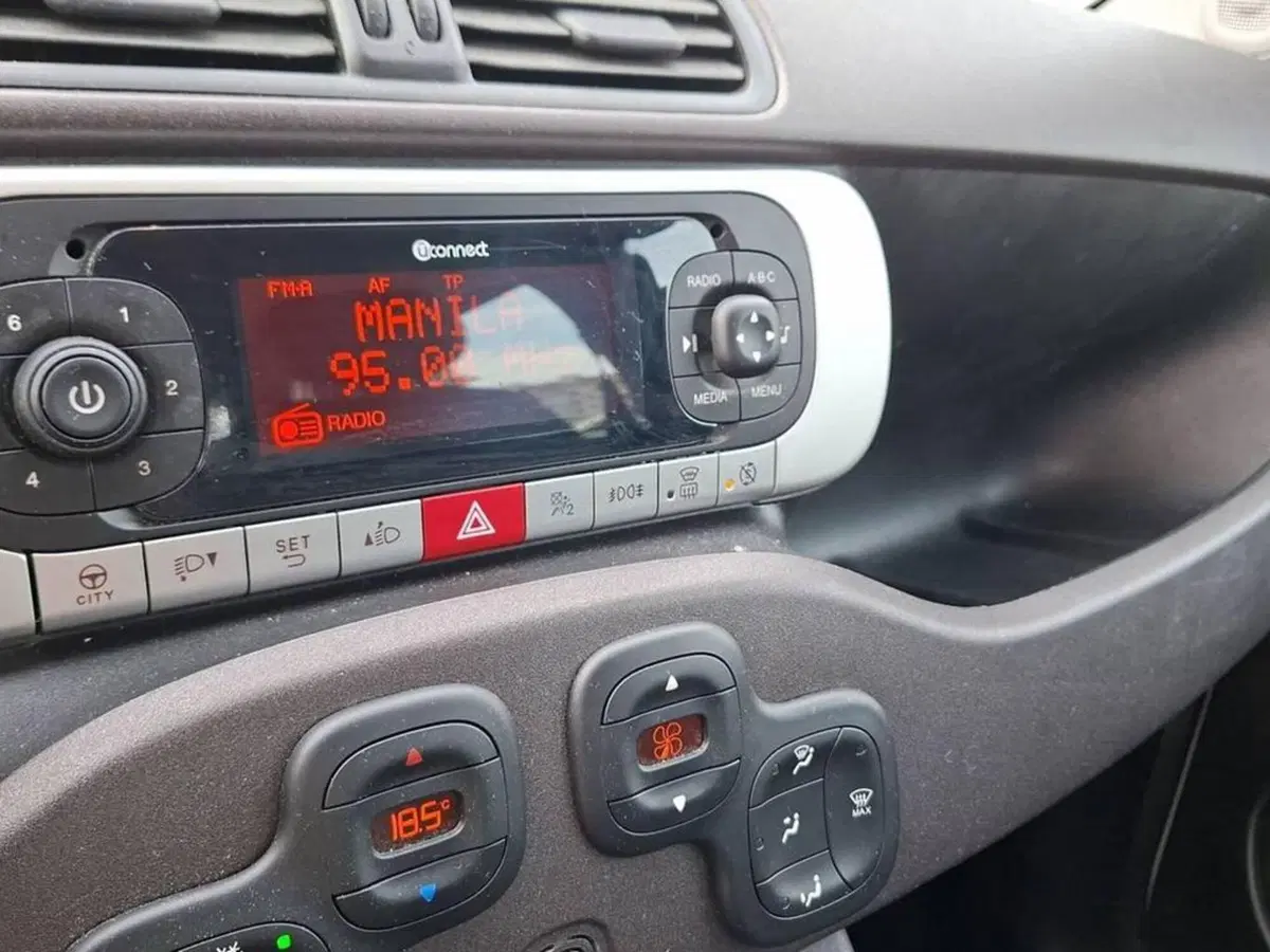 Fiat Panda Cross usata a Torino (9)