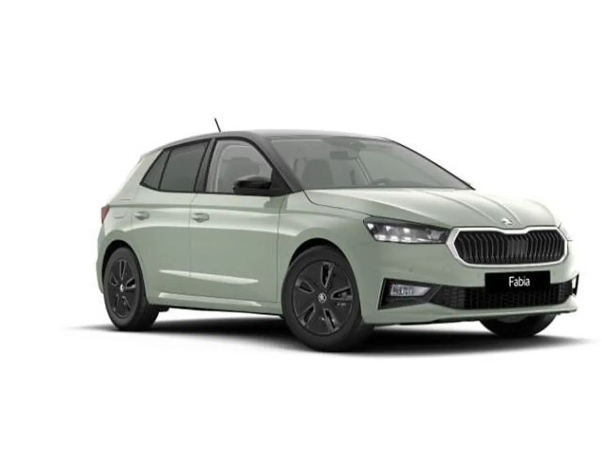 Skoda Fabia nuova a Vicenza
