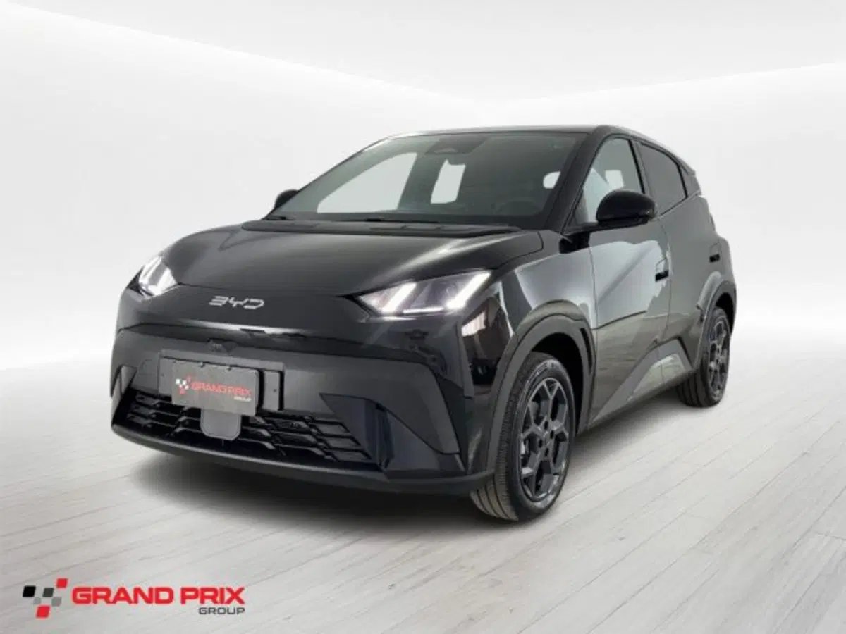 Byd Dolphin Surf usata a Bologna