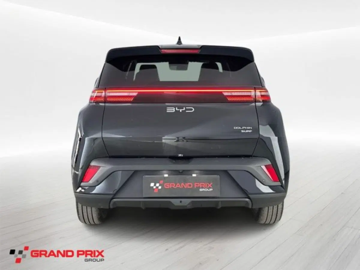 Byd Dolphin Surf usata a Bologna (5)