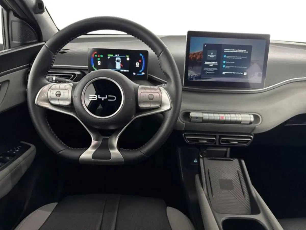 Byd Dolphin Surf usata a Bologna (10)