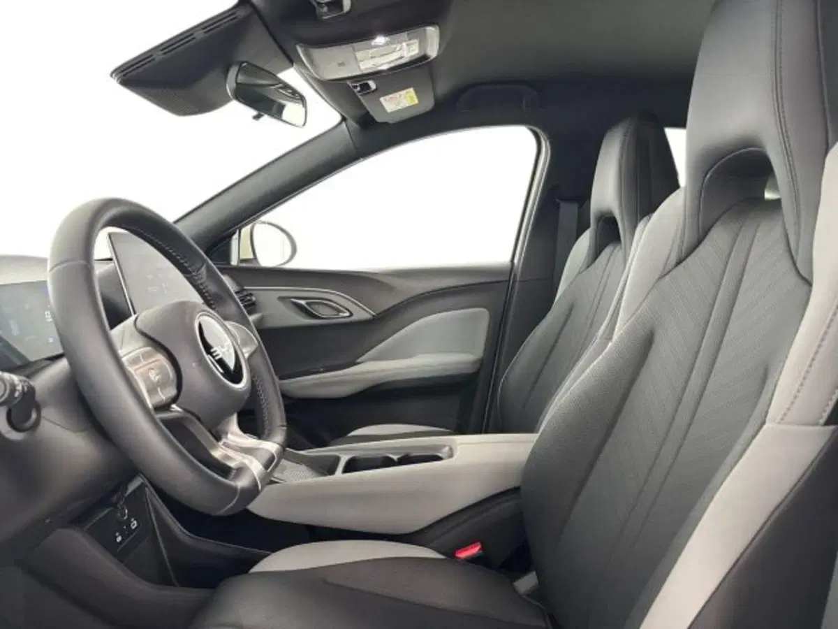 Byd Dolphin Surf usata a Bologna (12)
