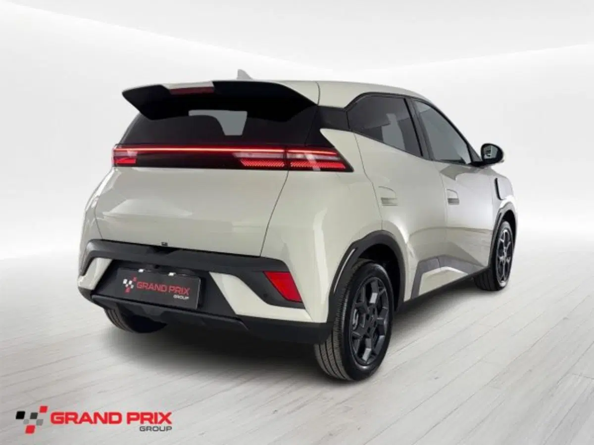 Byd Dolphin Surf usata a Bologna (2)