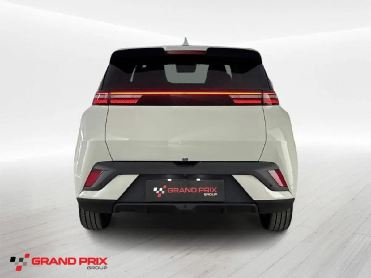Byd Dolphin Surf usata a Bologna (5)