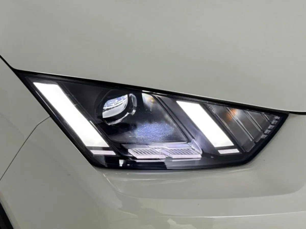 Byd Dolphin Surf usata a Bologna (7)