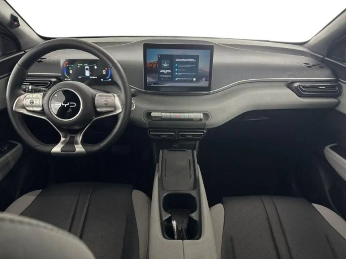 Byd Dolphin Surf usata a Bologna (9)