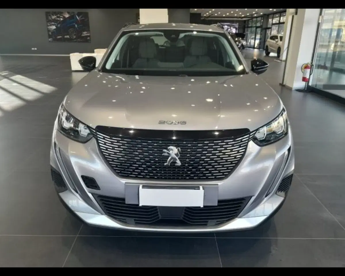 Peugeot 2008 usata a Bologna (2)
