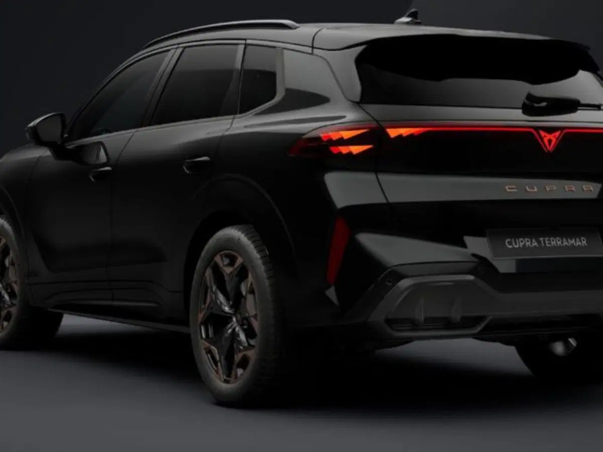 Cupra Terramar nuova a Vicenza (3)